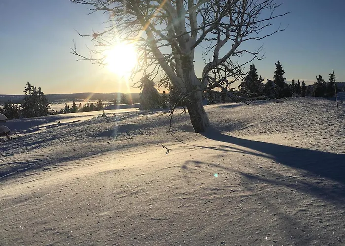 Ferienhaus Cozy In With Wifi Sjusjoen